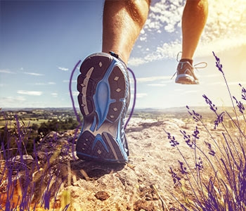Sports Tourism