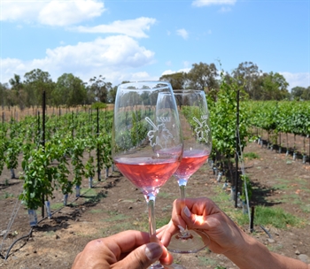 Wine Trails Galilee