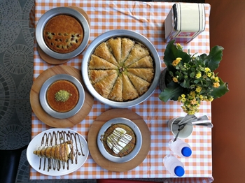 kfar kama
