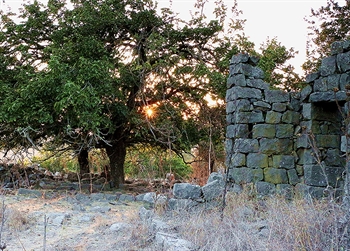 Meshushim Stream Nature Reserve
