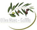 Olive Ways Galilee